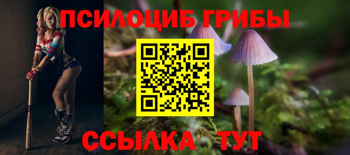 Псилоцибиновые грибы прущие грибы Старый Оскол